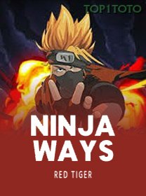 Ninja Ways game cover